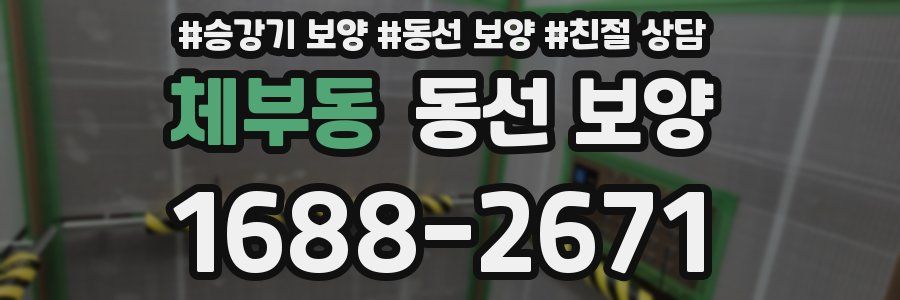 체부동 동선 보양