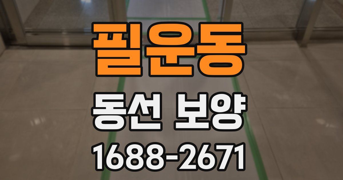 필운동 동선 보양