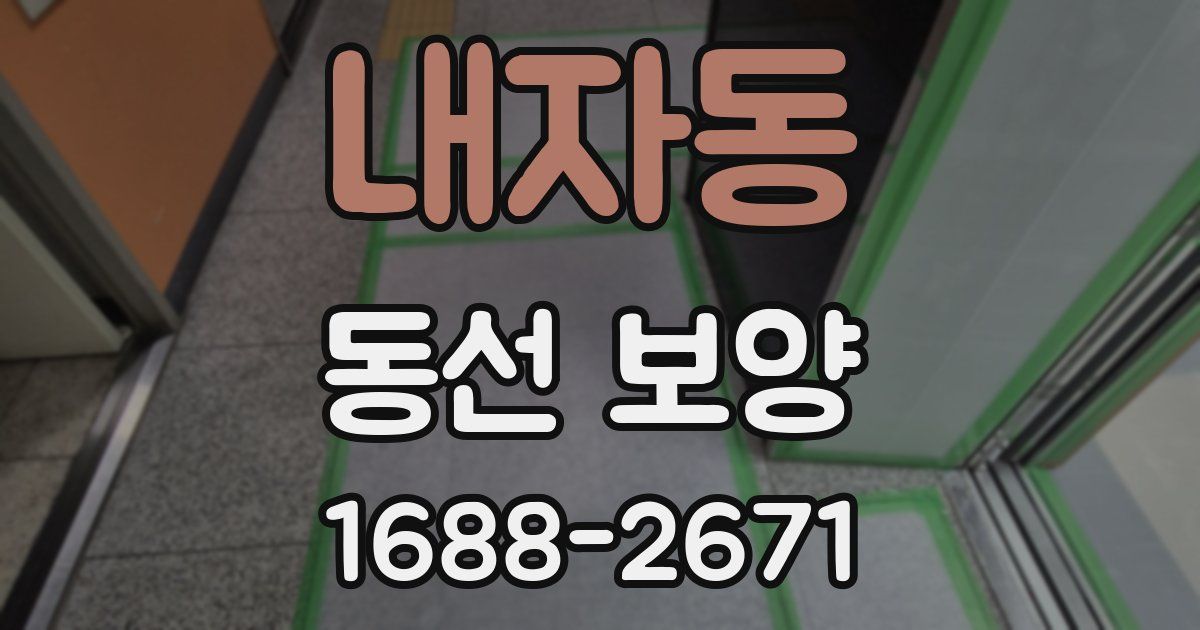 내자동 동선 보양