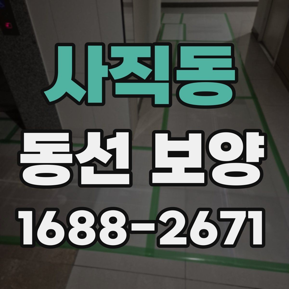 사직동 동선 보양 현장 사진으로 보는 진행 순서