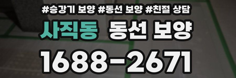 사직동 동선 보양