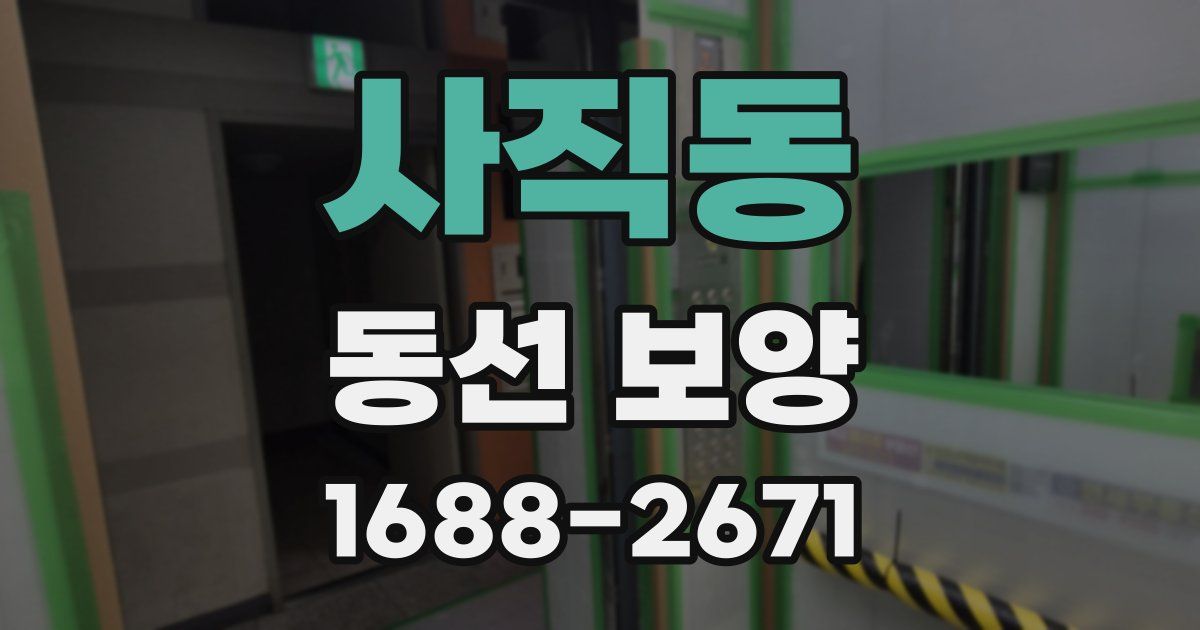 사직동 동선 보양