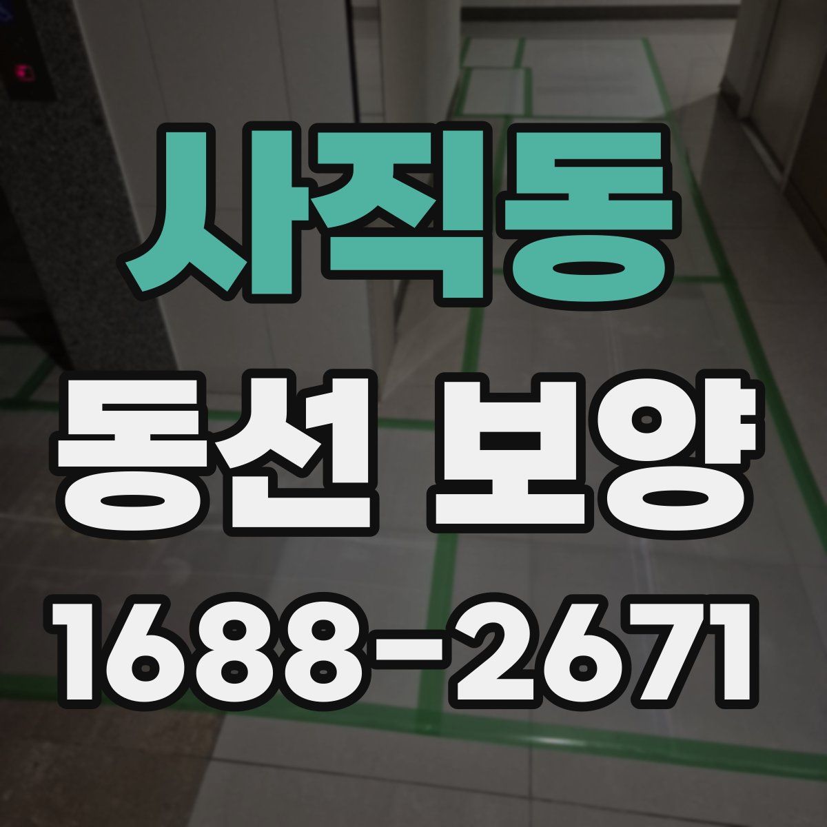 사직동 동선 보양