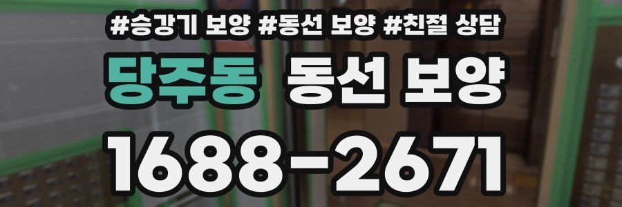 당주동 동선 보양