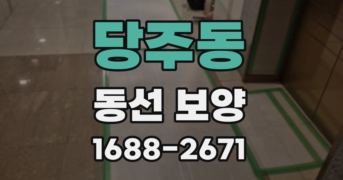 당주동 동선 보양