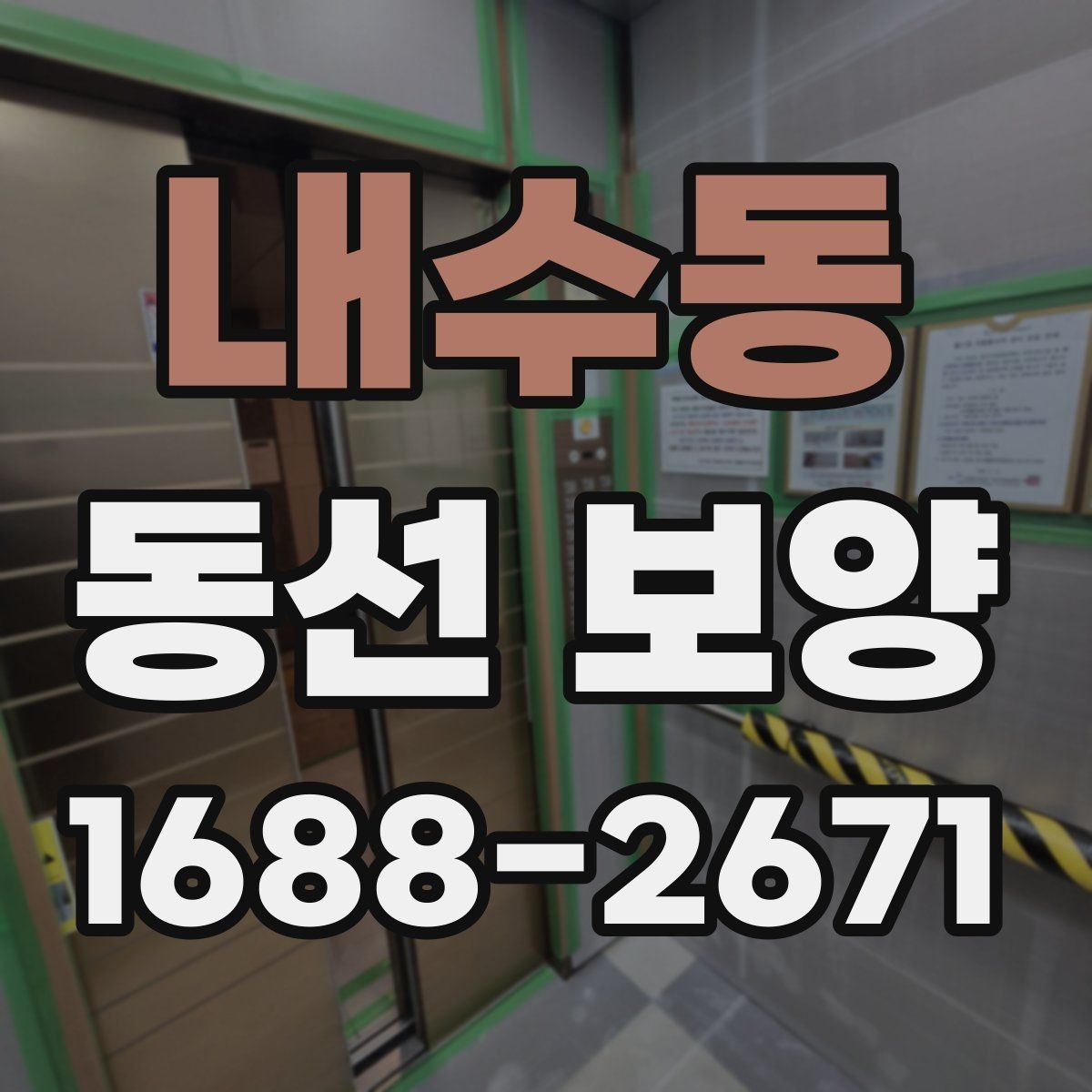 내수동 동선 보양 과정별 역할과 확인 포인트