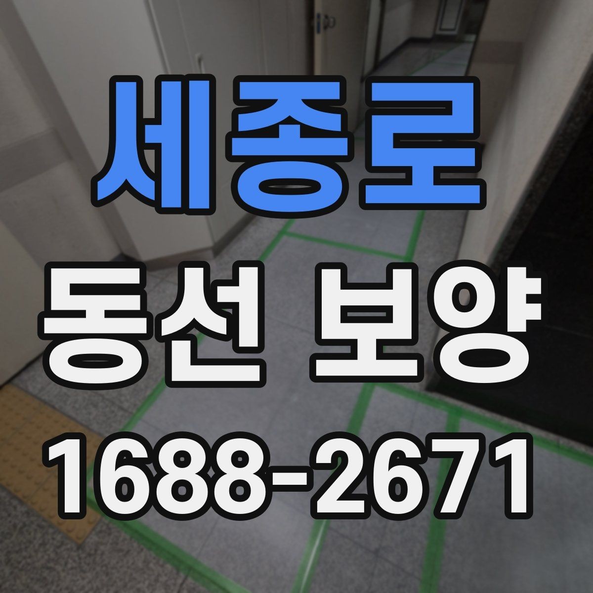 세종로 동선 보양 적용 사례를 통해 보는 차이
