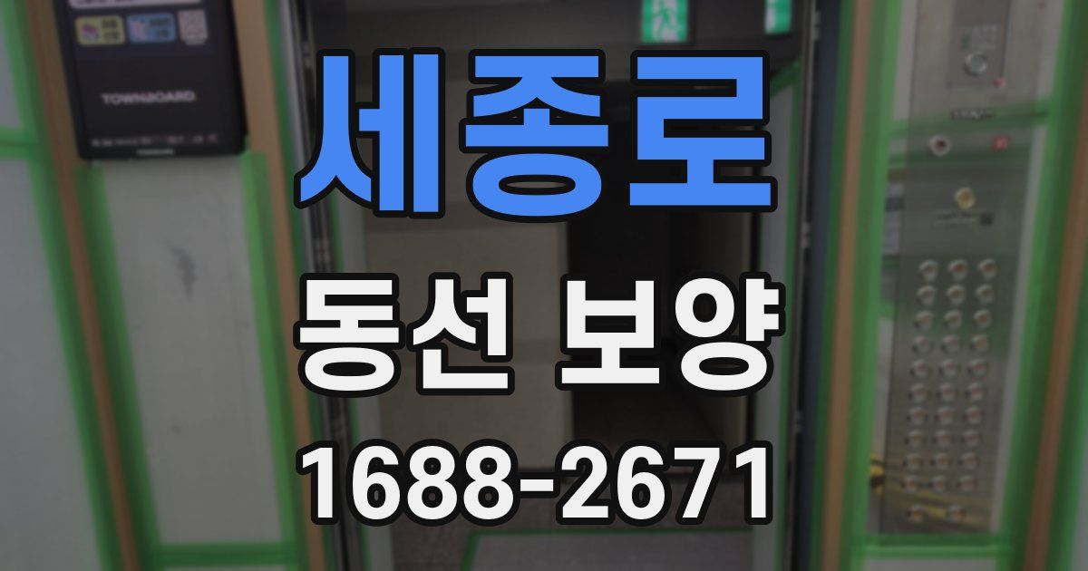 세종로 동선 보양