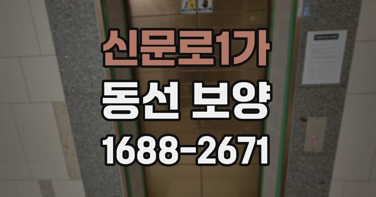 신문로1가 동선 보양