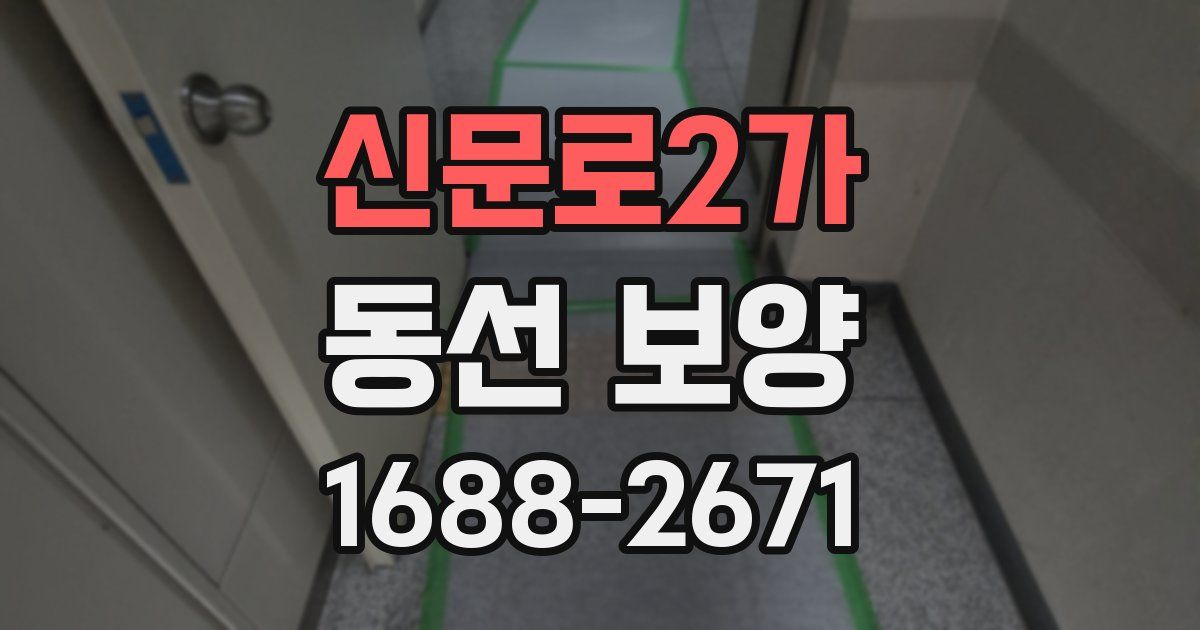 신문로2가 동선 보양