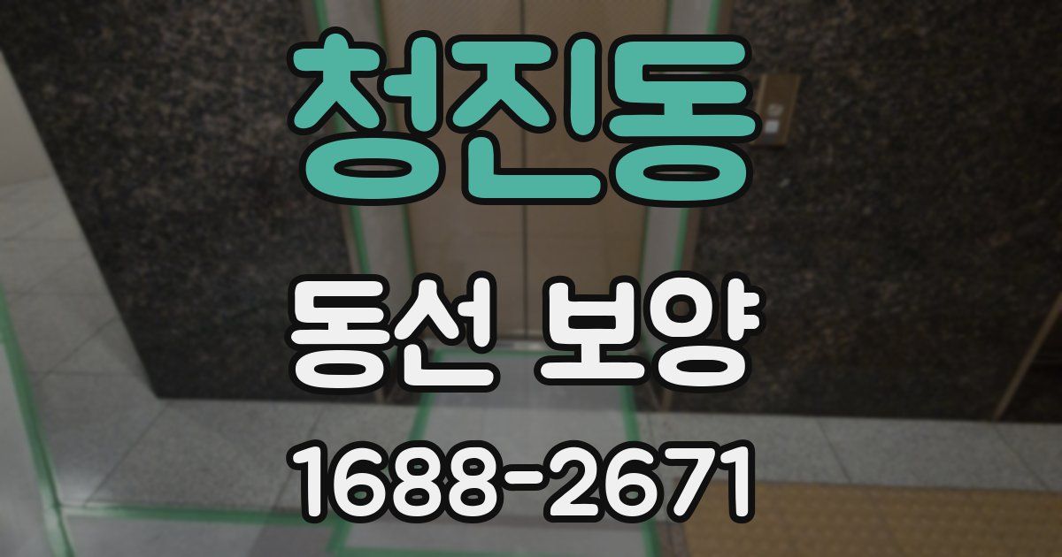 청진동 동선 보양