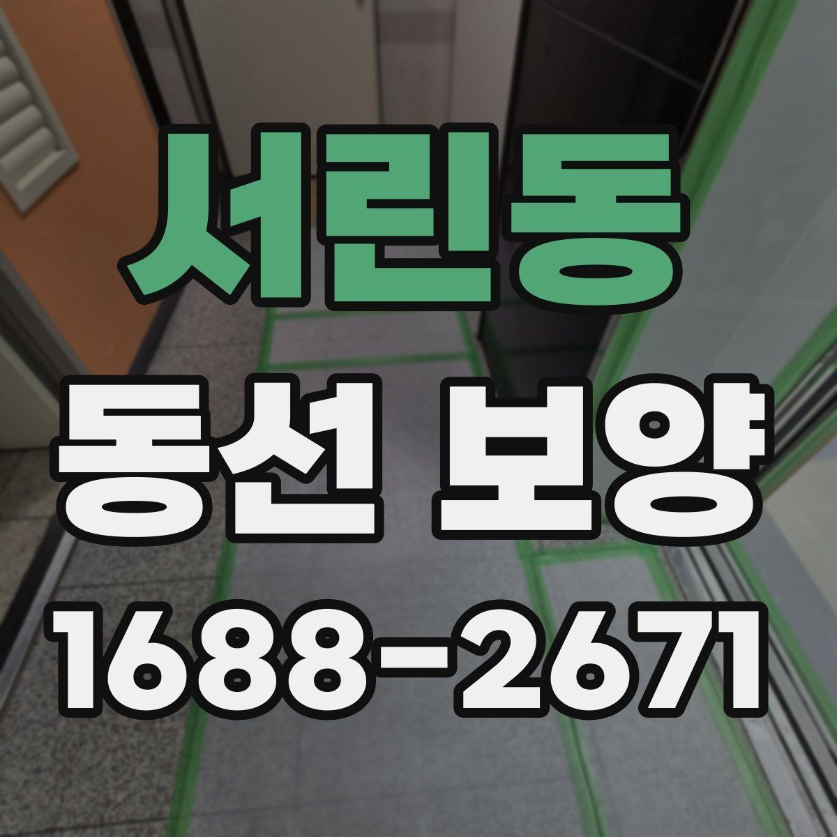 서린동 동선 보양 선택 전 비교해야 할 항목들