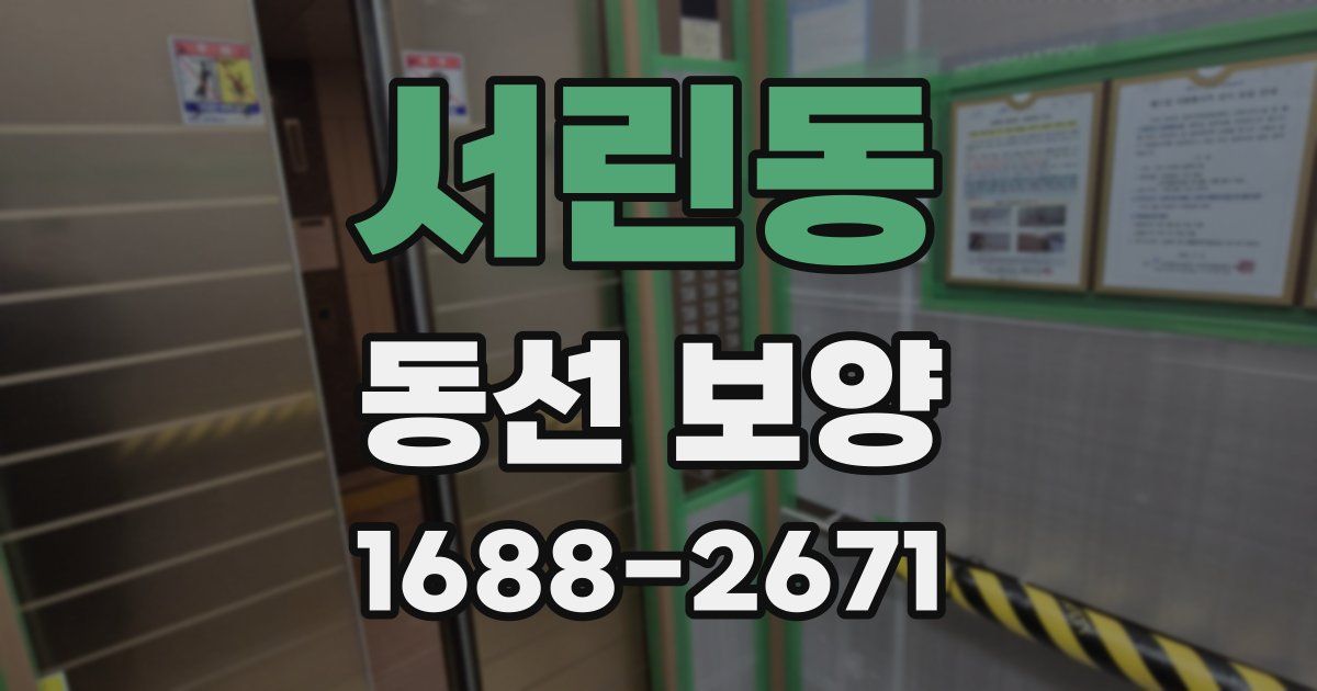 서린동 동선 보양