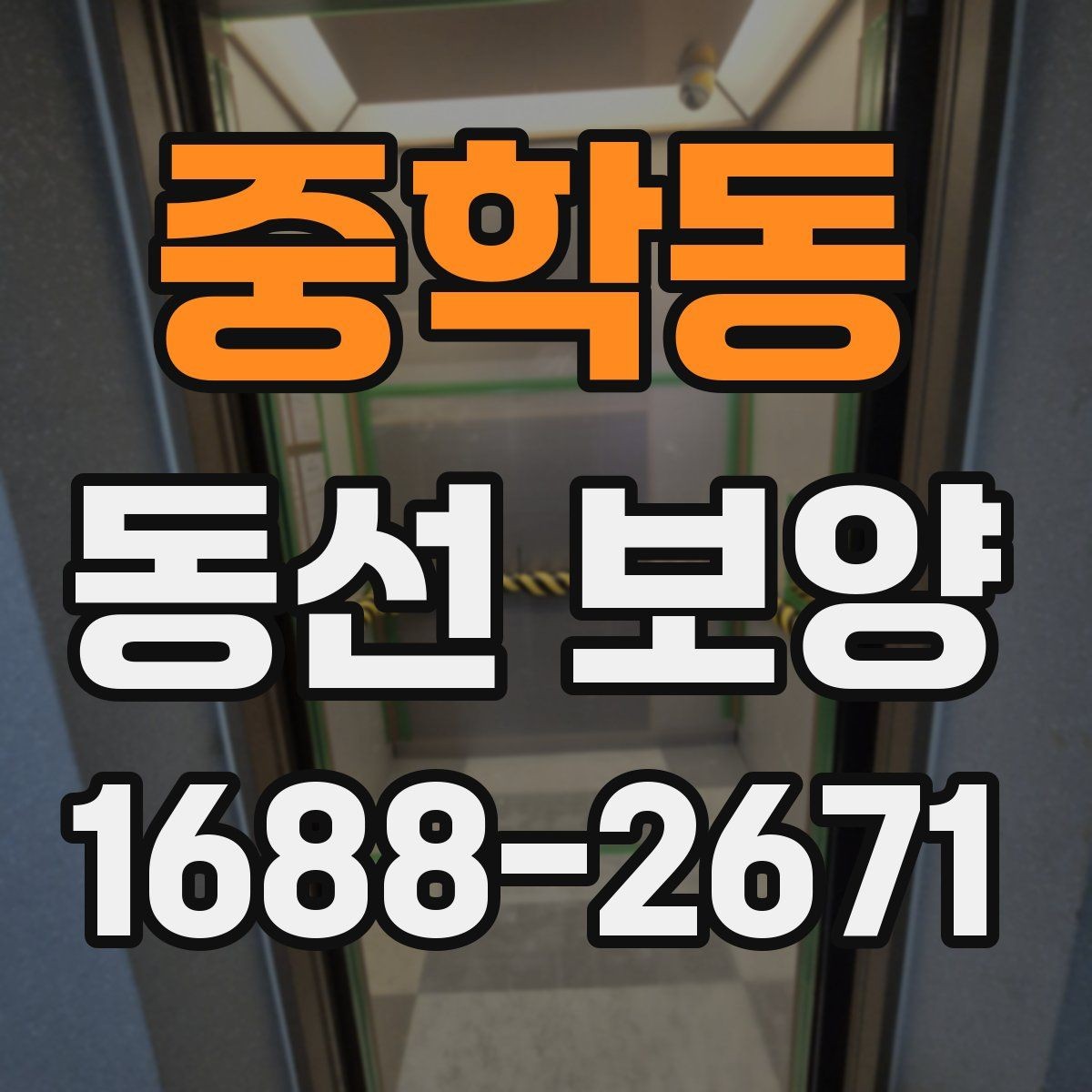 중학동 동선 보양 현장별 작업 난이도가 달라지는 이유