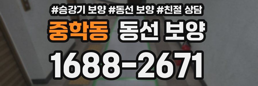중학동 동선 보양