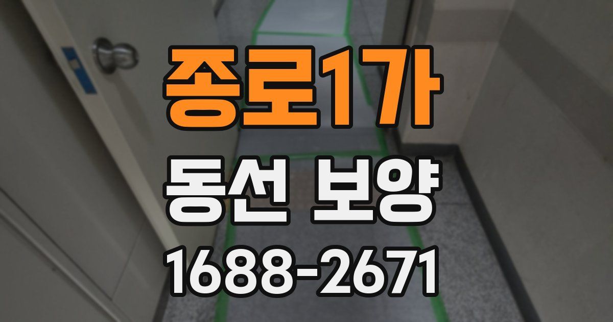 종로1가 동선 보양