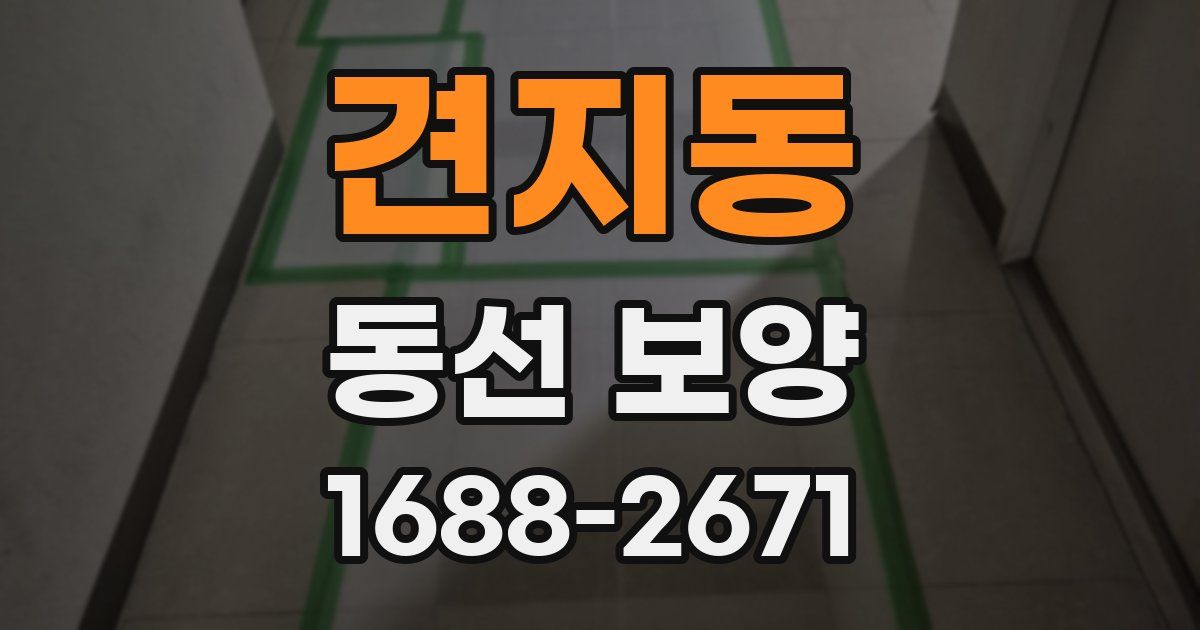 견지동 동선 보양
