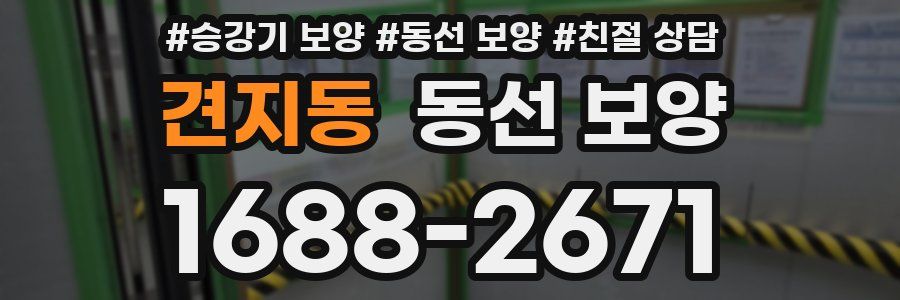 견지동 동선 보양