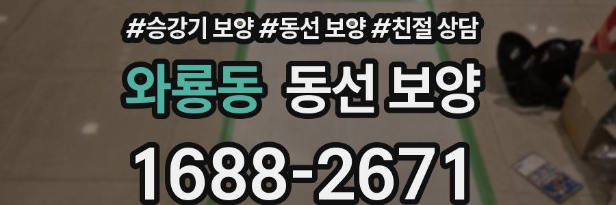 와룡동 동선 보양