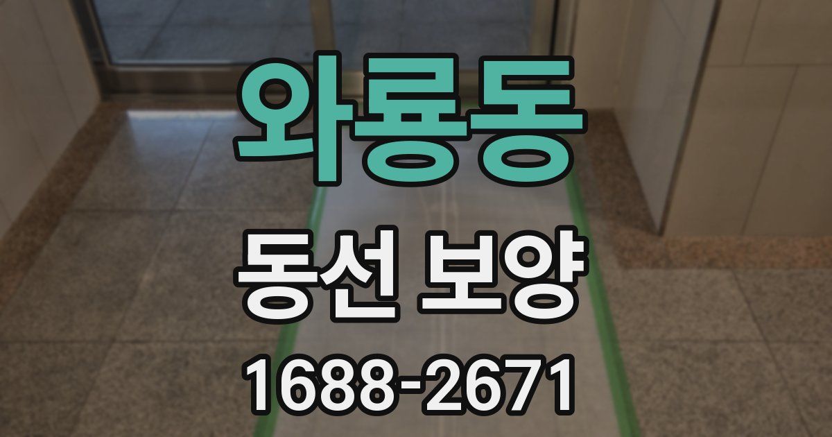 와룡동 동선 보양