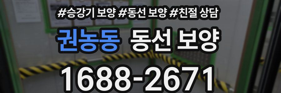 권농동 동선 보양