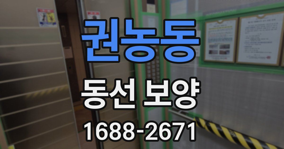 권농동 동선 보양