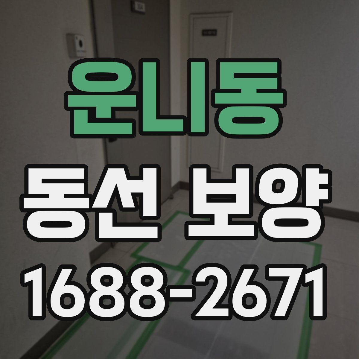 운니동 동선 보양 과정에서 생길 수 있는 문제와 대응