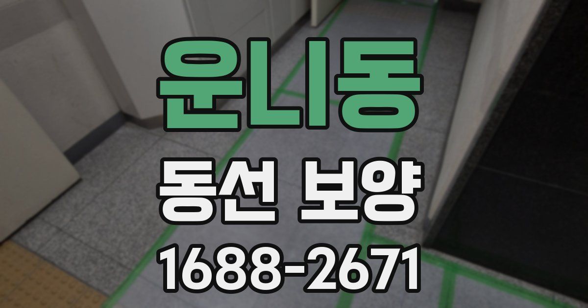 운니동 동선 보양