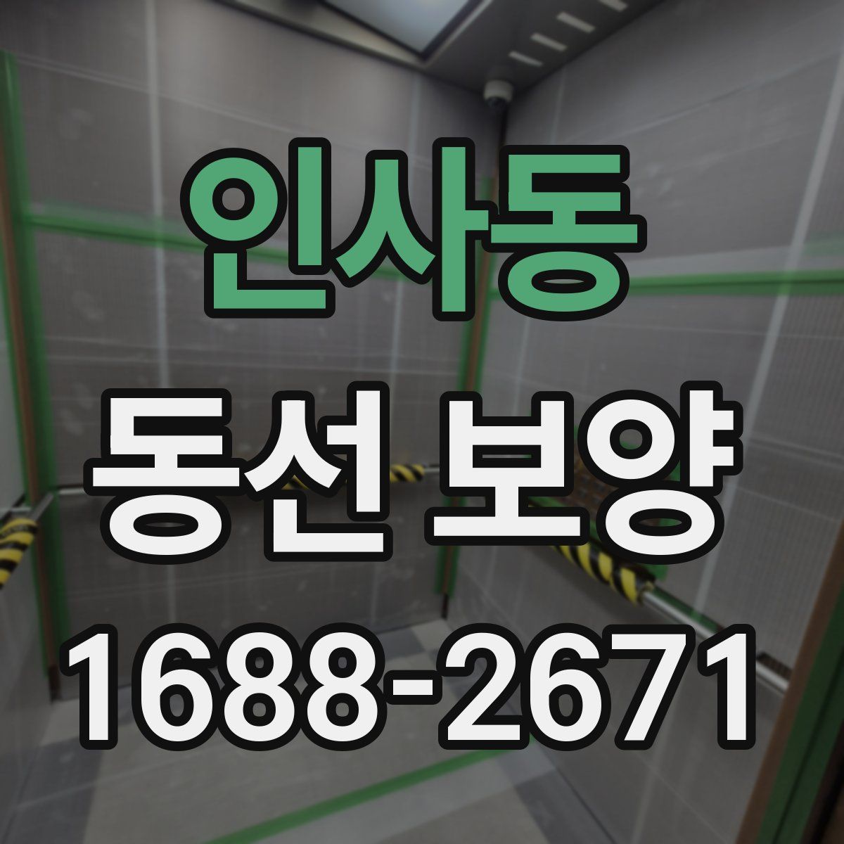 인사동 동선 보양