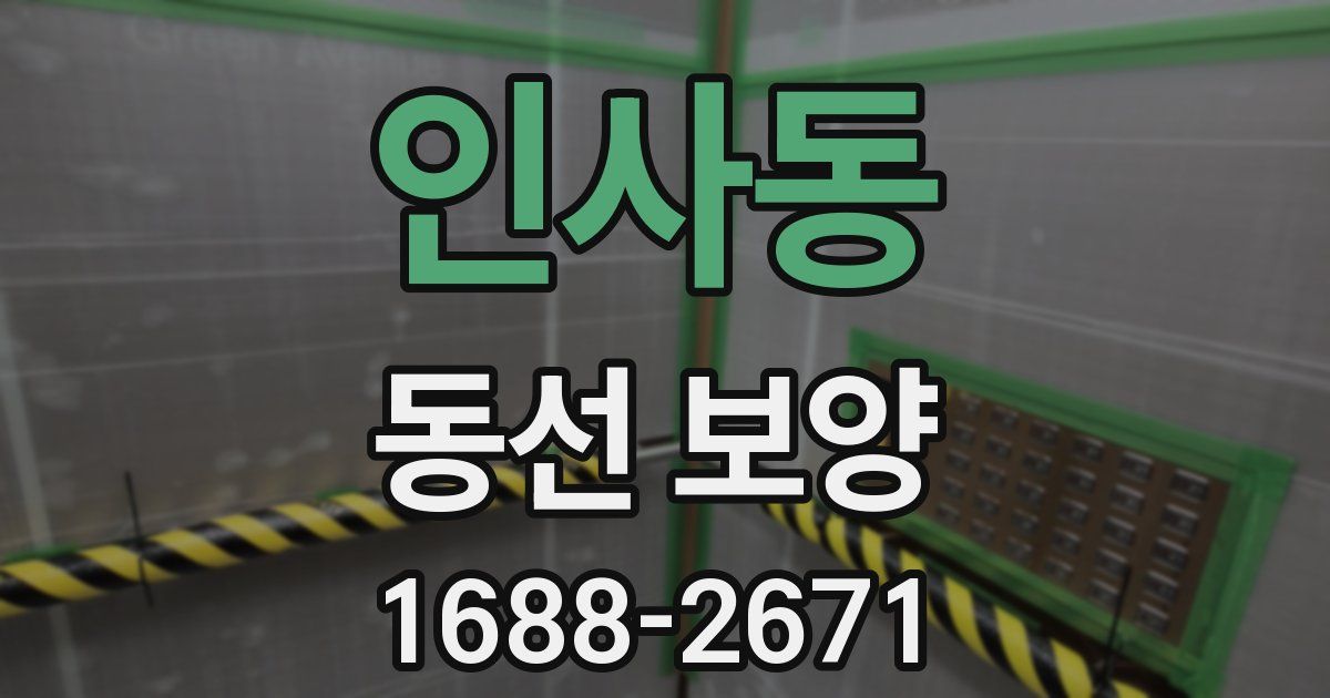 인사동 동선 보양