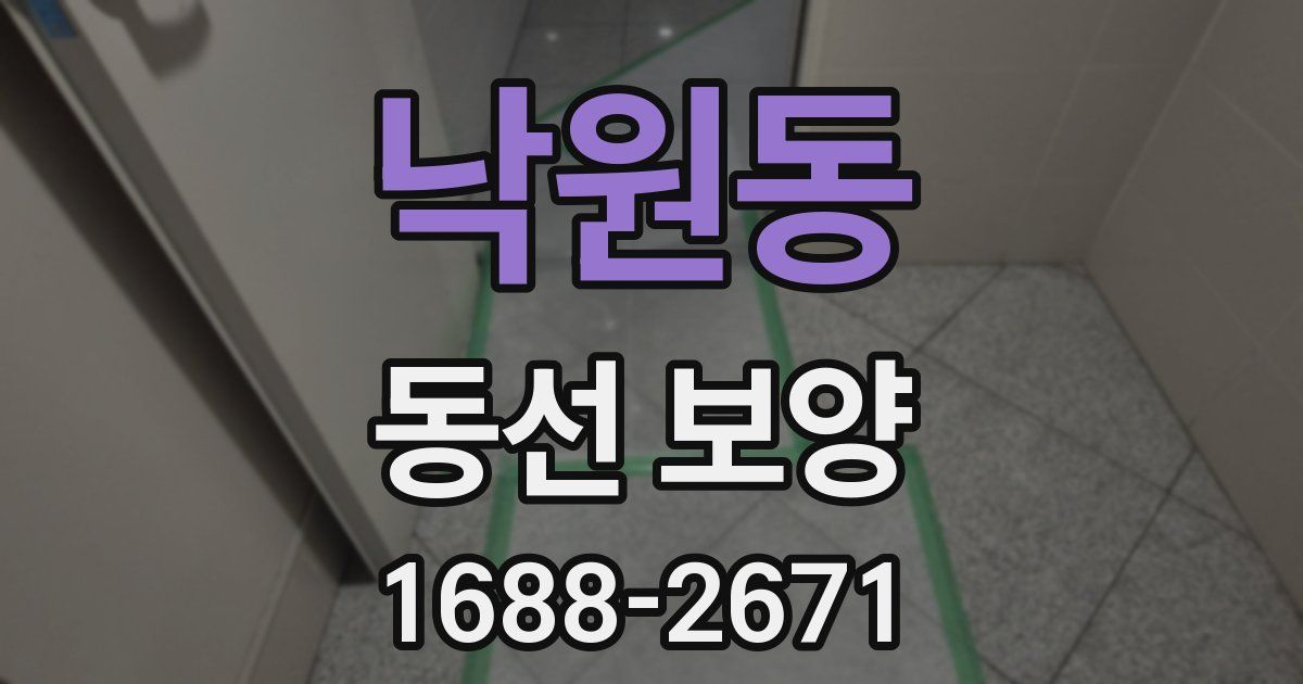 낙원동 동선 보양