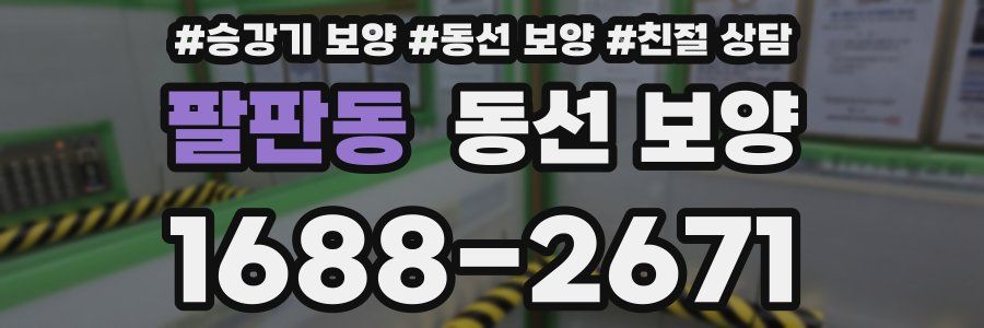 팔판동 동선 보양