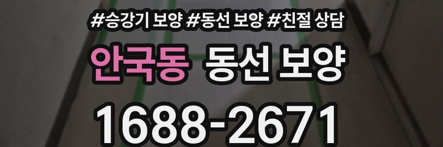 안국동 동선 보양