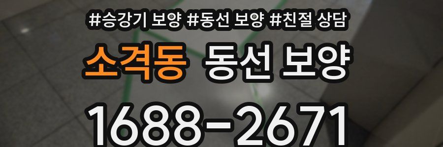 소격동 동선 보양