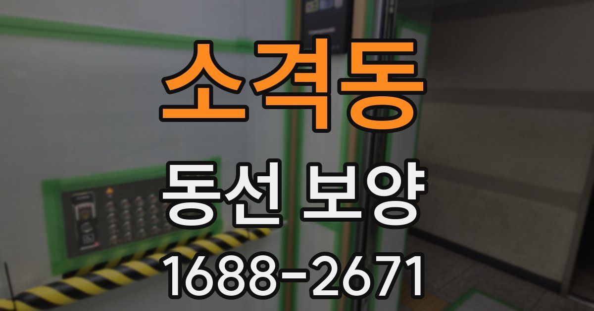 소격동 동선 보양