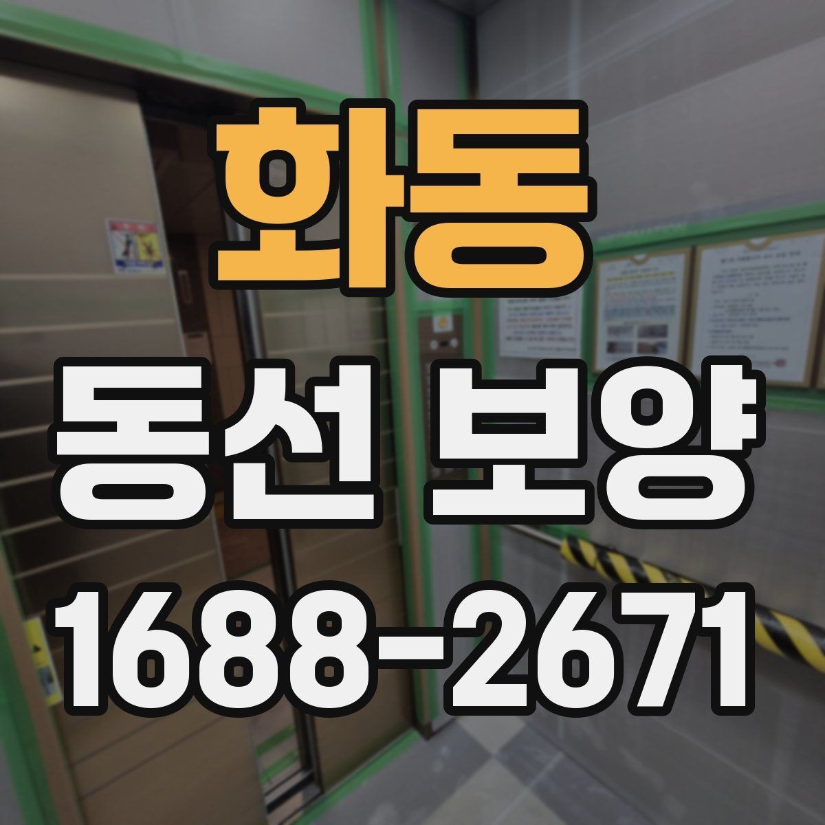 화동 동선 보양 작업 후 손상 예방을 위한 관리법