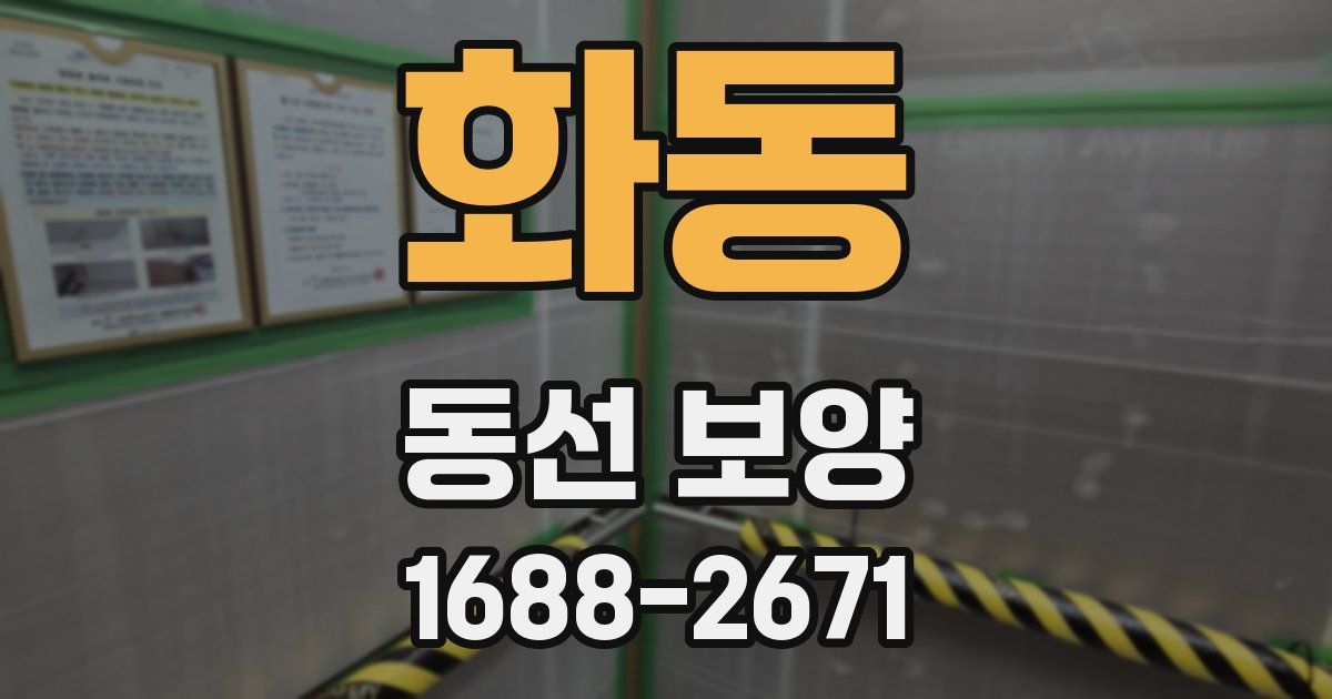 화동 동선 보양