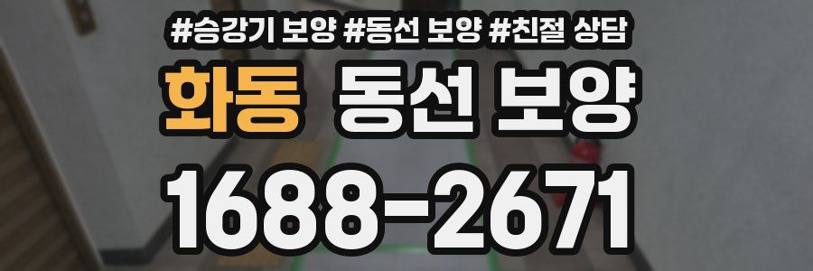 화동 동선 보양