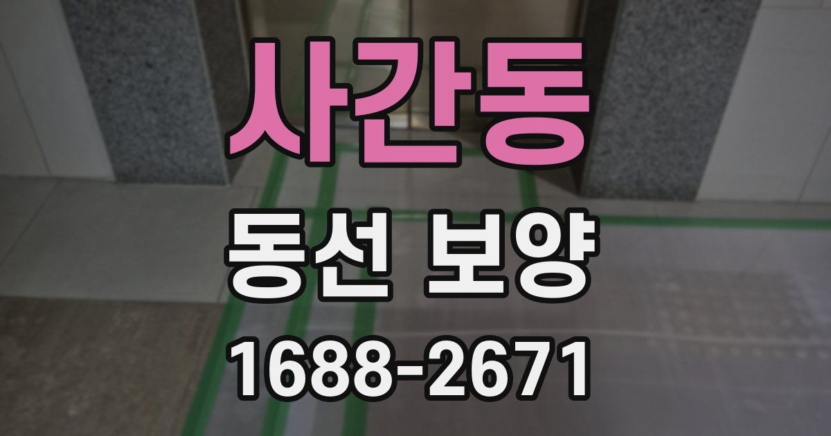 사간동 동선 보양