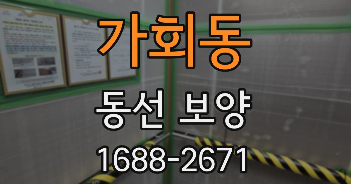 가회동 동선 보양