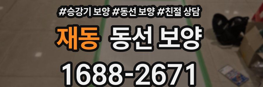 재동 동선 보양