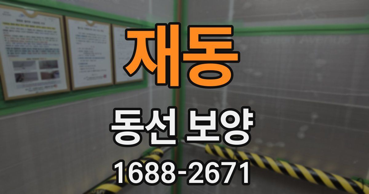 재동 동선 보양