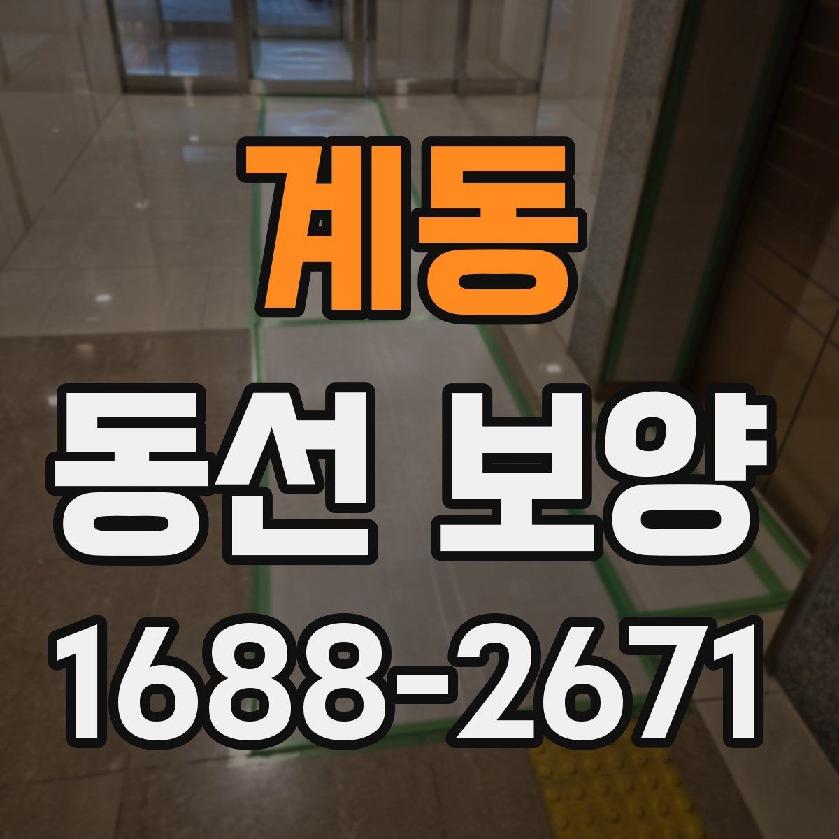 계동 동선 보양 비용과 품질의 균형 잡기