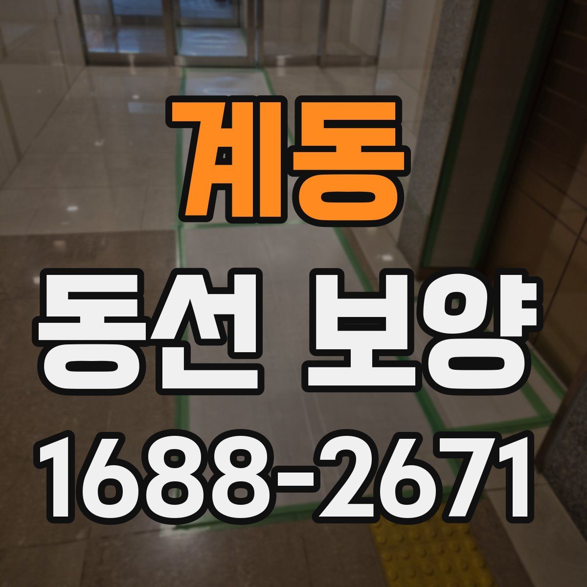 계동 동선 보양