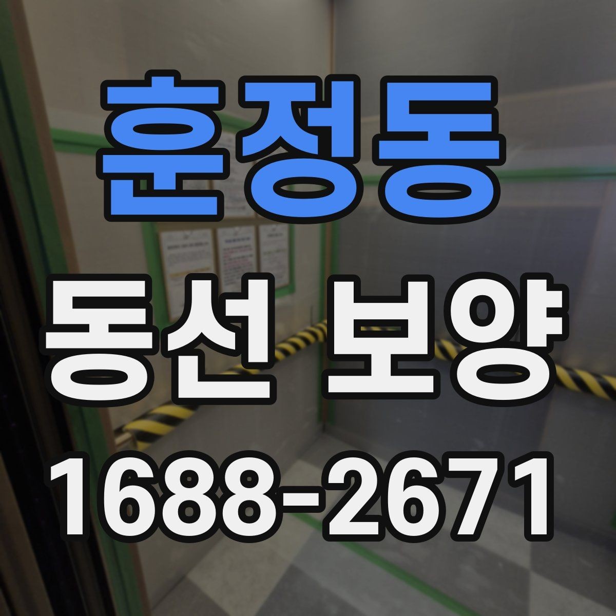 훈정동 동선 보양 자재별 활용처와 선택 팁