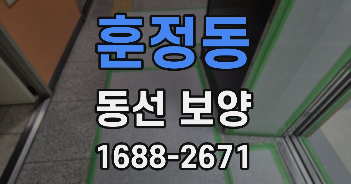 훈정동 동선 보양