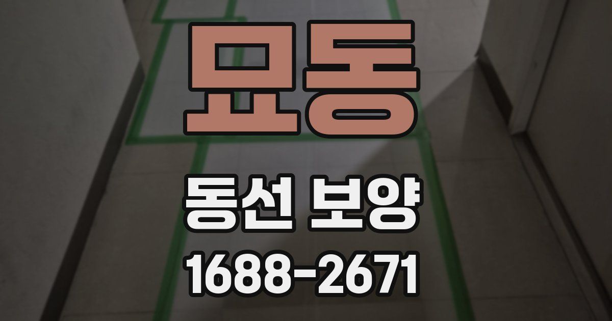 묘동 동선 보양