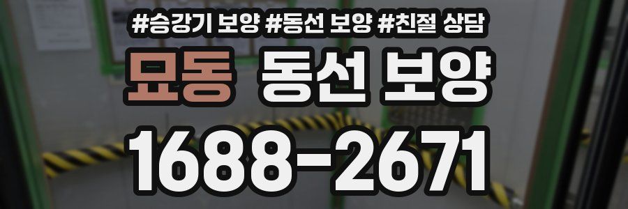 묘동 동선 보양