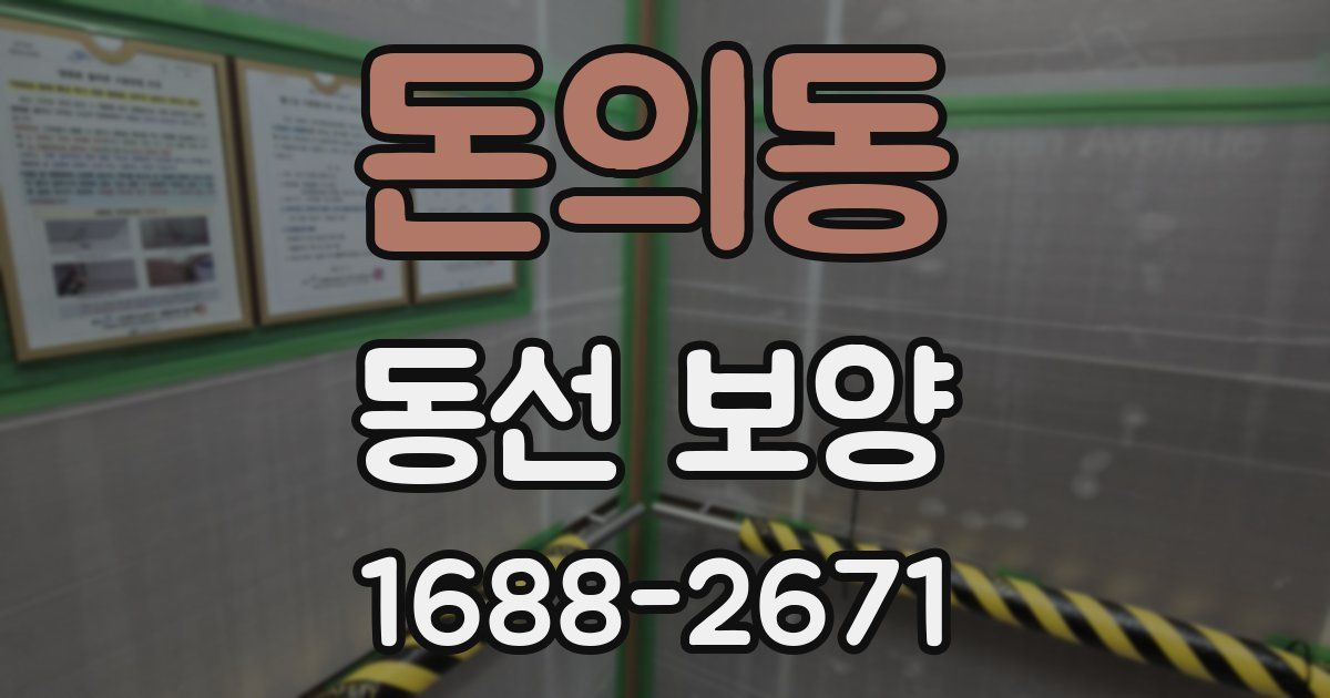 돈의동 동선 보양