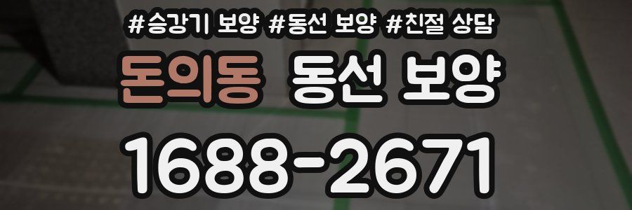 돈의동 동선 보양